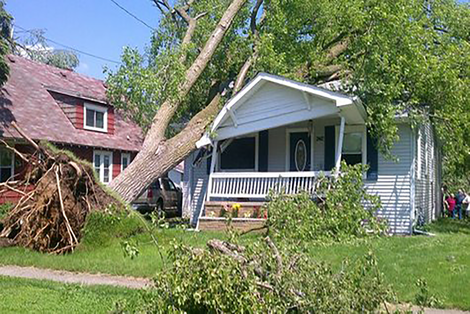 tree-on-house tree-on-house
